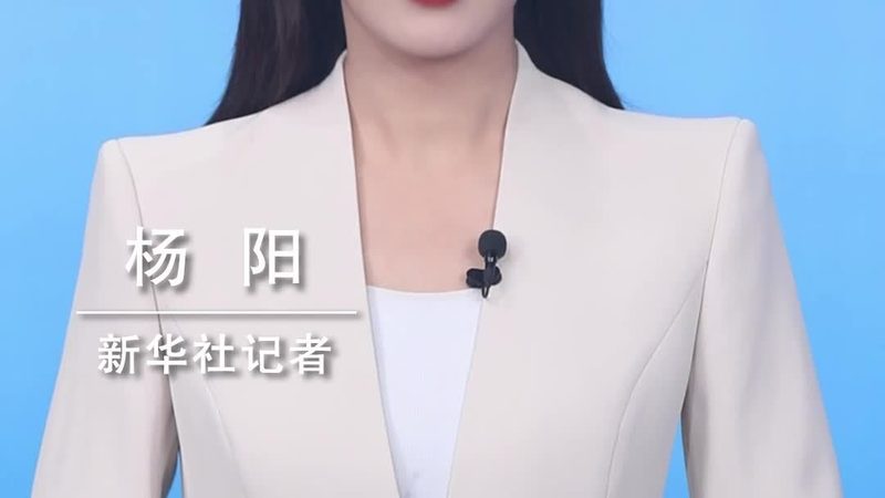 低代码平台：实战定制开发的成本考量**